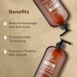 Botanic Hearth Biotin Shampoo with 100% Pure Ginger Oil – Sulfate & Paraben-Free – Enriched with Turmeric Extract, Argan Oil & Vitamin E – For All Hair Types – 16 fl. oz