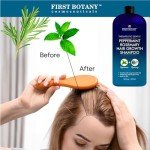 Peppermint Rosemary Hair Regrowth Shampoo - Anti Hair Loss product, Daily Hydrating, Detoxifying, Volumizing Shampoo and Fights Dandruff For Men and Women 16 fl oz