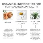 ZENAGEN Revolve Conditioner (Unisex) | Supports Scalp Health & Appearance of Fuller, Healthier Hair, Developed for Fine & Visibly Thinning Hair, Plant-Based, Color-Safe, Vegan, 200 mL / 6.75 oz