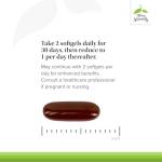 Terry Naturally Hair Renew Formula - Healthy Hair Growth Supplement with Biotin B Vitamins & Zinc - Millet Seed Oil for Keratin Production Support & Stronger, More Radiant Strands - 60 Softgels