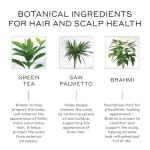 ZENAGEN Revolve Women's Thickening Shampoo | Supports Appearance of Fuller, Healthier-Looking Hair, Developed for Fine & Visibly Thinning Hair, Plant-Based, 5-Minute Treatment, 200 mL / 6.75 oz