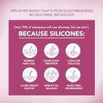 Onion & Rosemary Hair Growth Shampoo: Biotin Infused Shampoo for Hair Loss and Thinning Hair - Promotes Healthier, Thicker and Stronger Hair for Women and Men (16.9 Fl Oz (Pack of 1))