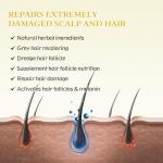 2-Pack 5% Minoxidil Hair Growth Serum, Hair Regrowth Treatment for Men and Women, Strengthens and Thickens Hair for Fuller, Longer Results, Beard and Facial Hair Enhancer