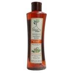 Árbol Verde Natural Anti Hair Loss Shampoo – 16.9 fl oz. Strengthens Hair & Reduces Hair Loss – Infused with Natural Extracts – Suitable for All Hair Types. Made in Mexico