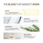 Bare Anatomy Advanced Hair Growth Serum| 3% Redensyl - 2x Better Results than Minoxidil | + 4% Anagain + 3% Baicapil | Rosemary, Biotin | Hair growth & Hair fall control serum for Women & Men | 30mL