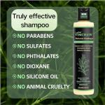 Organic Rosemary Hair Growth Shampoo for Thinning Hair & Hair Loss - Thickening & Strengthening Formula with Hydrolyzed Keratin for Men & Women (3-Pcs)