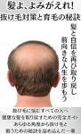 Hair Regrow Secrets to Stop Hair Loss and Promote Growth Balding Thinning Hair Regrowth Treatment Shampoo Baldness (Japanese Edition)