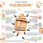 Clean Nutra Pumpkin Seed Oil Capsules + Saw Palmetto Biotin Collagen Keratin MSM Folate Hyaluronic Acid Supplements B12 Zinc Hair Supplement for Women Men Iodine 5-MTHF B-12 Vitamin B9-60 Pills