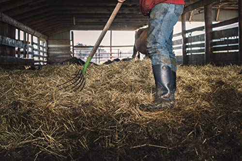Dunlop Chesapeake Waterproof Black Plain Toe Shoes
