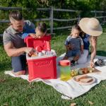 Igloo Profile II 28 Quart Roller, red