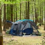 TIMBER RIDGE 8 Person Family Camping Tent with Screen Room, Double Layer Waterproof Weather Resistant Big Tunnel Tent with Rainfly Carry Bag, Large Family Tent for Outdoor Party 20ft x 8ft x 76in