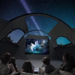 HIKERGARDEN 10 Person Camping Tent - Portable Large Family Tent for Camp, Windproof Fabric Dome Tent Outdoor for Hiking, Backpacking, Traveling - 14'x11'x74in(H) (Gray)