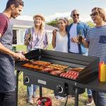 ROVSUN 2 Burner Outdoor Camping Stove with Wind Panel & Shelves, Heavy Sturdy Propane Burner, Gas Cooker with Detachable Legs & CSA Regulator for Home Camp Paito Cooking Frying Canning