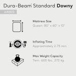 Intex 10 Inch Dura Beam Fiber Tech Vinyl Standard Downy Air Mattress with Plush Top and 2 in 1 Valve, Queen (Pump Not Included) (2 Pack)