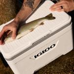 Igloo 25 QT Latitude Marine Ultra White Cooler
