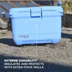 Coleman Pro Heavy-Duty 45qt Ultra-Light Premium Hard Cooler, Extra-Thick Insulation Keeps Ice up to 4 Days, 74-Can Capacity