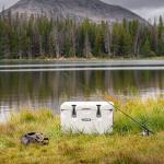 Lifetime 65‑Quart High Performance Hard Cooler, Up to 8‑Day Ice Retention, IGBC Bear‑Resistant Camping & Hunting Ice Chest with Bottle Opener