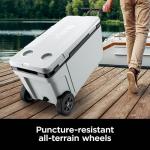 Ninja FrostVault | 65qt Wheeled Cooler with Cold Dry Zone | Integrated Fridge-Temp Dry Storage Drawer | Premium Heavy-Duty Insulated Cooler | Keeps Ice for Days | Cloud White | FB265WH