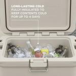 Coleman Pro Heavy-Duty 45qt Ultra-Light Premium Hard Cooler, Extra-Thick Insulation Keeps Ice up to 4 Days, 74-Can Capacity