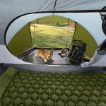 Night Cat Pop Up Tent 2-3 Persons Instant Set Up Tent with Footprint Tarp & Porch, Automatic Double Layer Waterproof Camping Tent with Rainfly