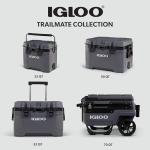 Igloo, Trailmate 25 Qt Cooler, Carbonite