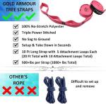 Gold Armour Camping Hammock - Portable Hammock Single Hammock Camping Accessories Gear for Outdoor Indoor Adult Kids, USA Based Brand (Peach & Pink)