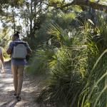 CORE Magnetic Leak Proof 24 Can Soft Cooler with Waterproof Zipper | Insulated Bag Portable Ice Chest Box | Best Backpack Cooler for Food & Beverages for Tailgating, Car Camping, and Family Picnics