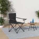 HaSteeL Foldable Camping Chair Set of 2, Folding Camp Chairs for Adults, Large Portable Lawn Chair for Outdoors Fishing, Hiking, Travel, Picnic, Beach, Supports 275lbs & Include Storage Bags (Black)