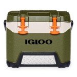 Igloo BMX 25 Quart Green and Orange