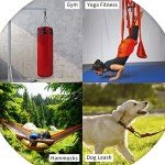 Carabiner Clip，855lbs，3" Iron Heavy Duty Caribeaners for Hammocks,Camping Accessories,Hiking,Keychain,Outdoors and Gym etc,Spring Snap Hook Carabiners for Dog Leash,Harness and Key Ring,2 PCS,Black