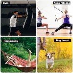 Carabiner Clip，855lbs，3" Iron Heavy Duty Caribeaners for Hammocks,Camping Accessories,Hiking,Keychain,Outdoors and Gym etc,Spring Snap Hook Carabiners for Dog Leash,Harness and Key Ring,2 PCS,Black