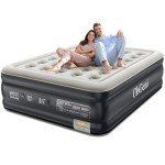 OhGeni Queen Air Mattress with Built in Pump, 18 Raised Comfort Inflatable Mattress, Quiet Surface Portable Blow Up Bed, Air Bed for Home and Guest, Colchone Inflable, 650 lbs Max