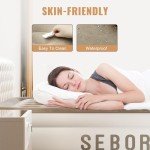 Sebor Air Mattress Queen with Built in Pump, 18" Ultimate Comfort Blow up Mattress Queen with Rechargeable Pump, Colchon Inflatable Mattress for Home, Guest, Camping & Office, Air Bed 650lbs Max