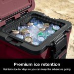 Ninja | Cooler | FrostVault 30QT Cooler with Wheels | Insulated with Temp Dry Storage Drawer | Keeps Ice Cold for Days | for The Beach, Camping, Picnics & More | Canyon Red | FB230MR