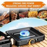 AFFLUENT 2 Burner Propane Camping Stove with Grill and Storage Bag- A Must - Have Camp Stove Propane! Foldable, Featuring Two Adjustable Burners Ideal Portable Camping Stove for Camping & BBQ(Black)