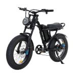 DRIFT.SLIDE 1500W Peak Power Electric Bike for Adults, 28 MPH Electric Moped Style Bike, 48V 20.8 Ah UL 2849 Removable Battery, 7 Speed 20" All Terrain Fat Tire Ebike (J1)