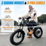 DRIFT.SLIDE 1500W Peak Power Electric Bike for Adults, 28 MPH Electric Moped Style Bike, 48V 20.8 Ah UL 2849 Removable Battery, 7 Speed 20" All Terrain Fat Tire Ebike (J1)