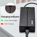 54.6V 2A Charger for 48V eBike Battery Compatible with Lectric XP 1.0/2.0/3.0,Lectric XPremium, Eahora X5, Himiway Cruiser, Ride1Up Core-5, Input Voltage AC120V 2.1mm DC Plug Power Adapter