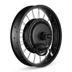 AW 20"x4" Fat Tire 48V Ebike Electric Rear Wheel Bicycle Kit Electric Bike Conversion Kit LCD Display 1000W Hub Motor Kit Dual Mode Controller