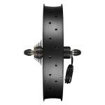 AW 20"x4" Fat Tire 48V Ebike Electric Rear Wheel Bicycle Kit Electric Bike Conversion Kit LCD Display 1000W Hub Motor Kit Dual Mode Controller