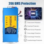 CXZCXZ 24V10AH Ebike Battery, Lithium Battery Pack with 20A BMS,T-Plug,2A Charger, Compatible with E-Bikes, Scooters, ATVs, Motorcycles and More 200-500W Systems