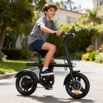 Flydone Mini Electric Bike for Adults, 750W Motor 20 mph Folding E-Bikes, 14" Adult Electric Bicycles with Smart Uphill 36v 7.8AH Battery E Bike for Teens,Black