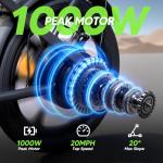 AYOLNY Folding Electric Bike for Adults, 16" Tire Step-Thru Foldable Ebike, 1000W Peak Motor 374.4Wh Removable Battery Commuter Protable Woman Electric Bicycle, Max 60 Miles PAS Range, 20 MPH Speed