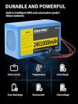 24V 10Ah Lithium Battery with 29.4V 1A Charger, 24V Rechargeable Battery for DIY Projects