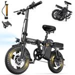 INSDRGN Electric Bike for Adults Peak 650W, 20 MPH Folding E Bike, 48V Removable Li Battery Ebike, Top 45 Miles PAS Range, 14" Fat Tire Bikes, with USB Charging Phone Holder, UL2849 Certified, Black