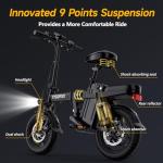 INSDRGN Electric Bike for Adults Peak 650W, 20 MPH Folding E Bike, 48V Removable Li Battery Ebike, Top 45 Miles PAS Range, 14" Fat Tire Bikes, with USB Charging Phone Holder, UL2849 Certified, Black