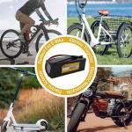 36V Ebike Battery 36 Volt 8Ah Electric Bike Battery for Electric Bikes E-Bike Lithium Batteries with 100W-800W Motors, for E-Bikes, Scooters, ATVs, Motorcycles and More