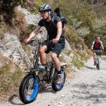 1000W Folding Electric Bike, 48V 20AH Large Removable Battery E Bike for Adults, 60 Miles Max Range, 20" Fat Tire EBike, Max 30Mph Adult Electric Bicycles for Commute, City Ride, Snow,Dark Black