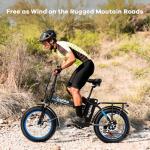 1000W Folding Electric Bike, 48V 20AH Large Removable Battery E Bike for Adults, 60 Miles Max Range, 20" Fat Tire EBike, Max 30Mph Adult Electric Bicycles for Commute, City Ride, Snow,Dark Black