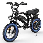 AVDLBIKE Electric Bike, 16'' Fat Tire E-Bike for Teens/Adults, 500W ebike with 36V/12.8Ah Removable Battery, Up to 22MPH, 45 Mile Range, Electric Dirt/Mountain Bike